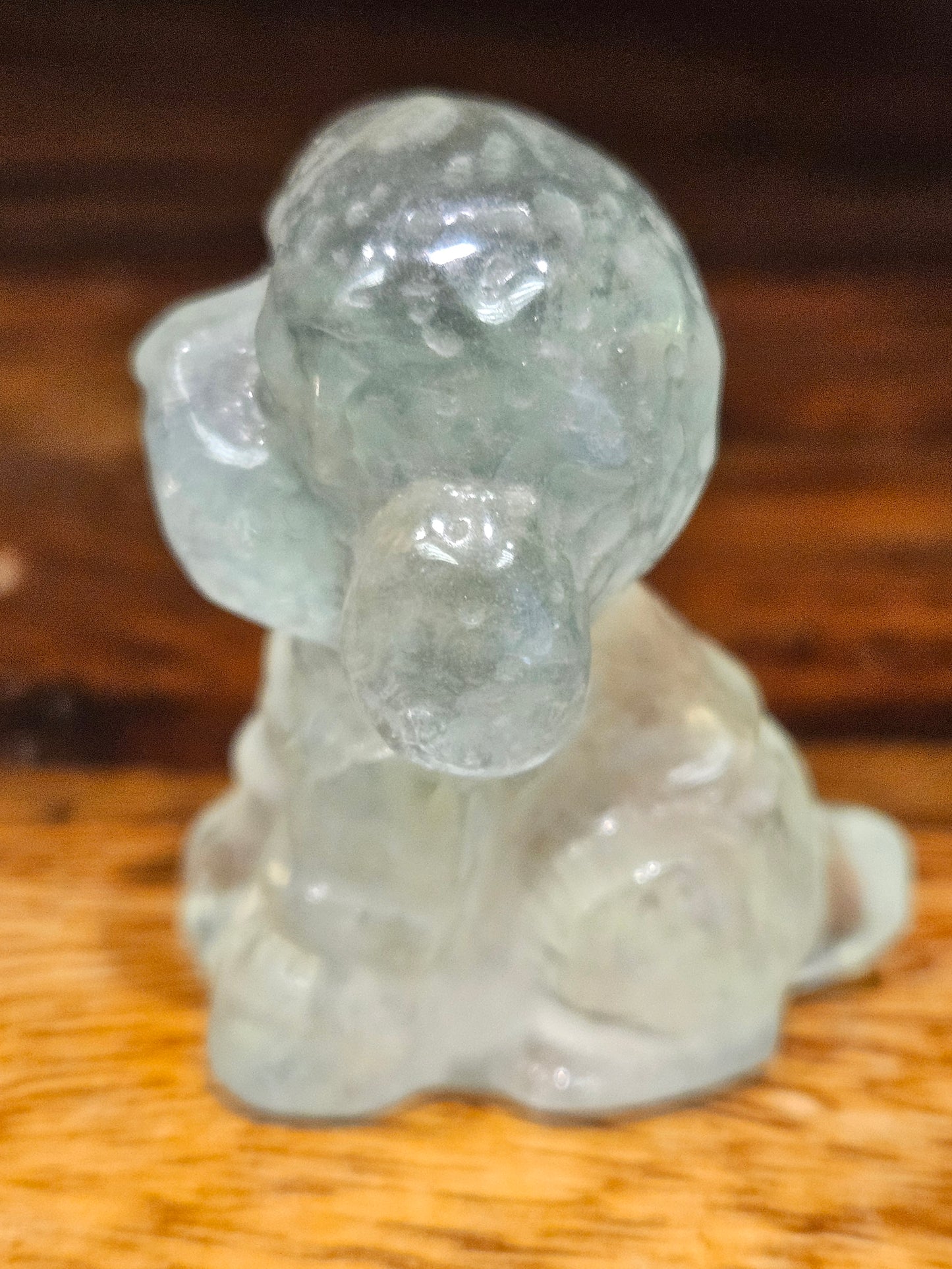 Flourite Dog