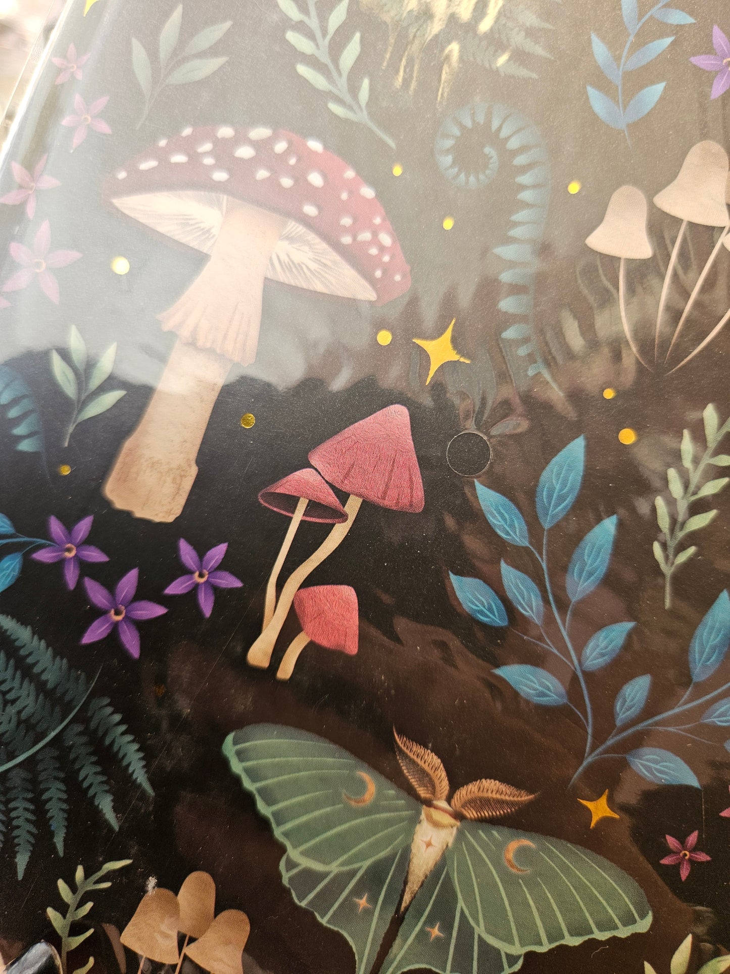 Mushroom and Moth Journal ๐