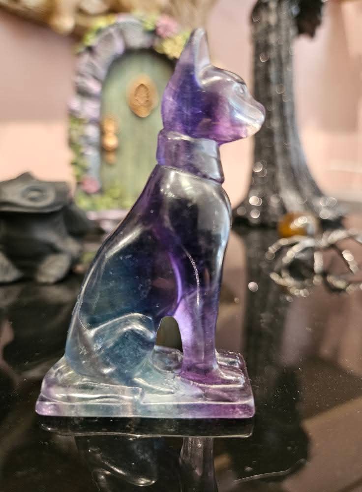 Flourite Cat