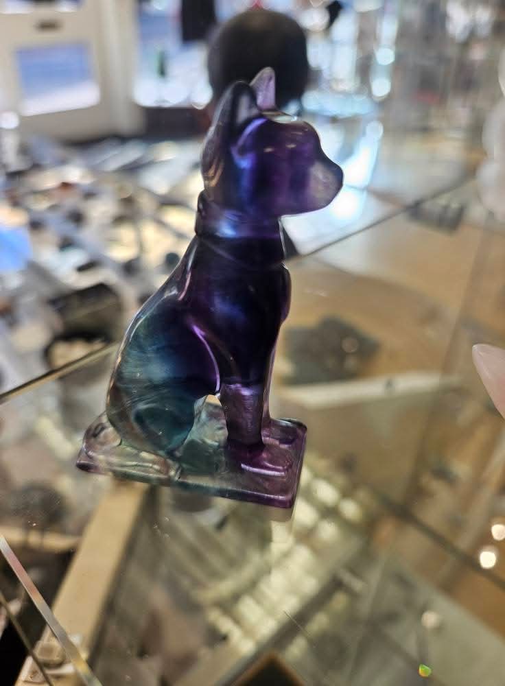 Flourite Cat