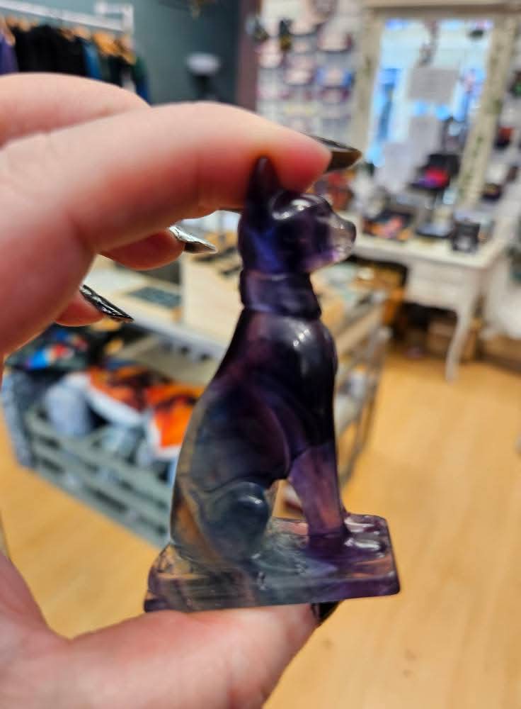 Flourite Cat