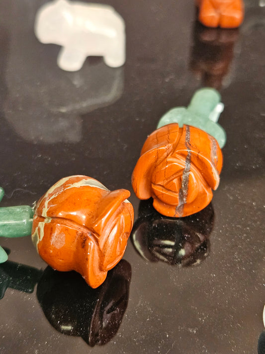 Mini Jasper Roses